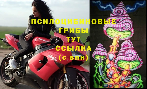 PSILOCYBIN Алексеевка