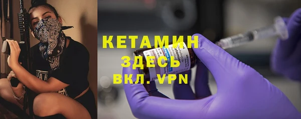 гашик Алексин