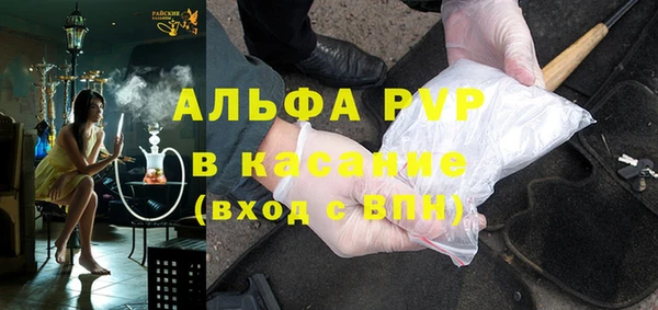 гашик Алексин
