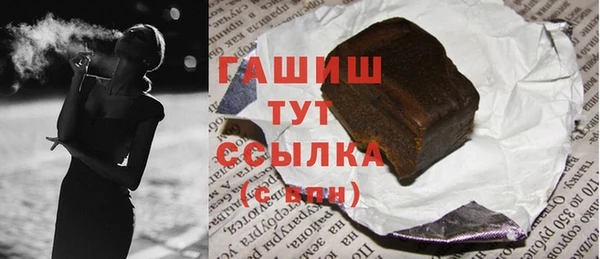 гашик Алексин