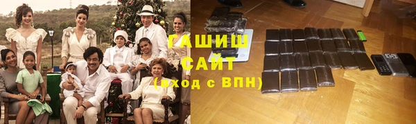 гашик Алексин